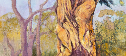 Nyala Tree Trunk Study | 2019 | Oil on Canvas | 62 x 44 cm